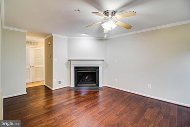 2035 Astilbe Way unit 2035, Odenton, MD 21113 - photo 4