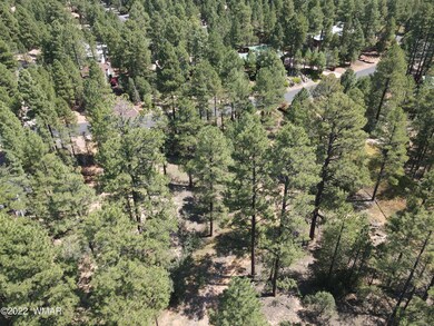 DJI_0706