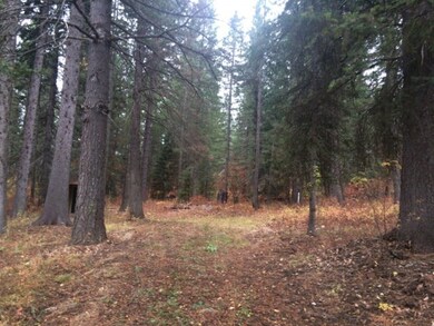 3 Allen Rd unit 69, Cascade, ID 83611 - photo 5