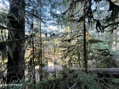 L9 B5 Beach Rd, Whale Pass, AK 99921 - photo 4