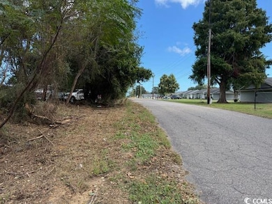 TBD Martin St, Georgetown, SC 29440 - photo 3