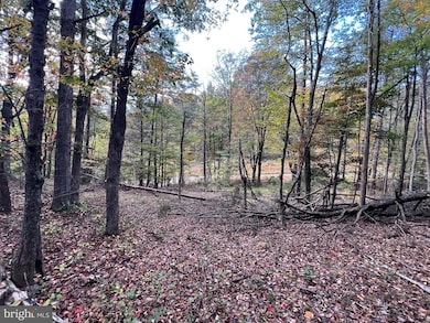 Lot 6 Deep Run Hollow, Delray, WV 26801 - photo 5