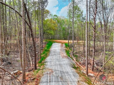 0 Falcon Ln unit 1024877, Carnesville, GA 30521 - photo 7