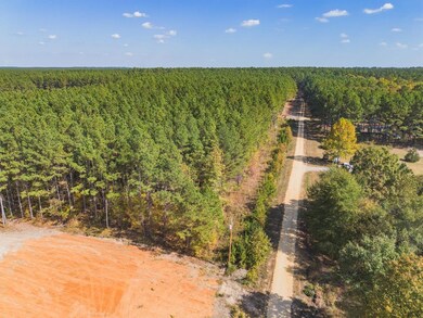 336 Grant County 676, Grapevine, AR 72057 - photo 5