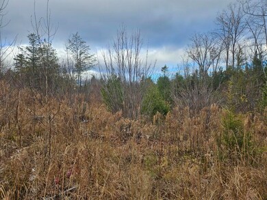 L52 Bridgton Rd, Sweden, ME 04009 - photo 6