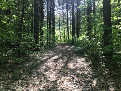 312 Asbury Ln, Acton, ME 04001 - photo 3