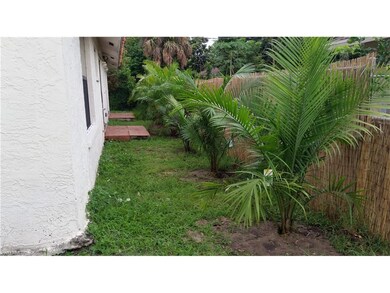 Areca & Majesty Palms grace Your Private Backyard