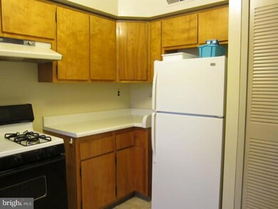 524 Maple Ave unit B, Collingswood, NJ 08108 - photo 7