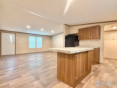 1120 Maclean Ct, Dacono, CO 80514 - photo 5