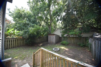 Backyard1