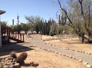 lobo 1_front yard