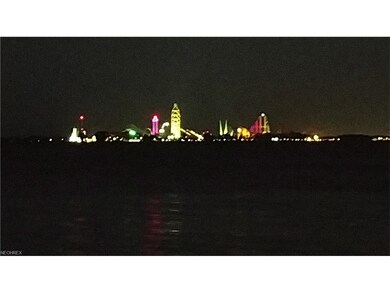 Cedar Point View By night!