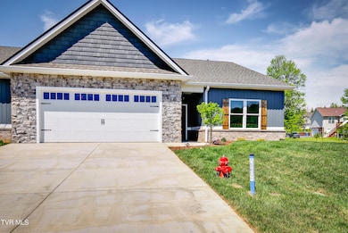 613 Bittersweet Trail, Jonesborough, TN 37659 - photo 4