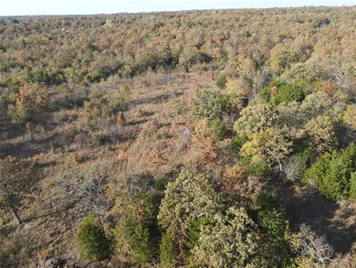 343 Brooken Mountain Rd, Stigler, OK 74462 - photo 5