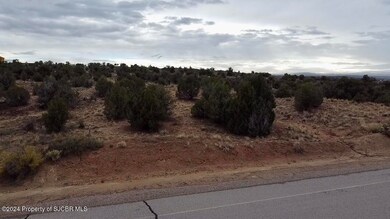 LOT 35 Ancient Trails Cir, Aztec, NM 87410 - photo 3