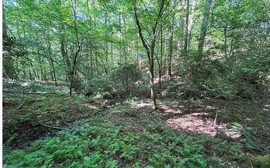 Additional View
