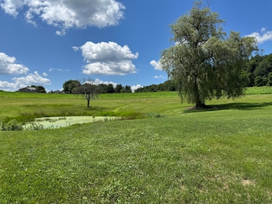 pond