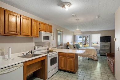 115 Weirs Rd unit 109B, Gilford, NH 03249 - photo 4