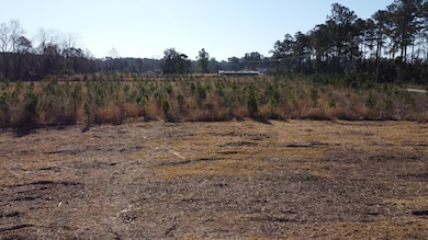 2 S Carolina 6, Cross, SC 29436 - photo 7