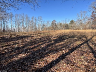 0 Bear Woods Trail, Mocksville, NC 27028 - photo 5