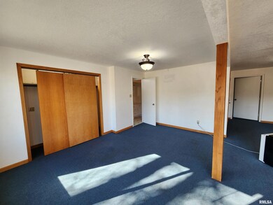 11700 300th St N, Hillsdale, IL 61257 - photo 6
