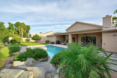 Backyard 4