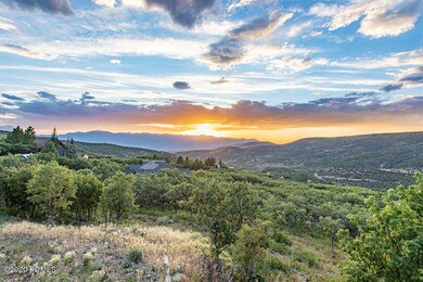9297 Tree Top Cir Heber City-small-020-0