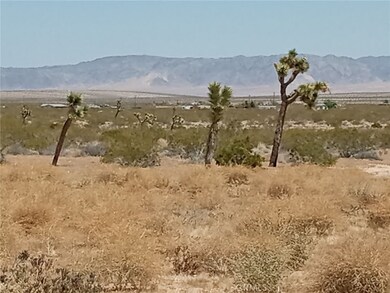 408 Stable Rd, Landers, CA 92285 - photo 3