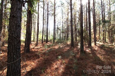7+/- AC LOT 3 Hartness Rd, Clover, SC 29710 - photo 2