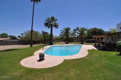 Backyard-Pool
