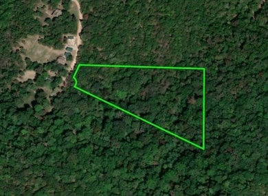 0 Cr-229 unit 1317518, Eureka Springs, AR 72631 - photo 4