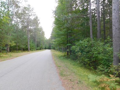 Lot 26 McCarthy Lake Rd, Tomahawk, WI 54487 - photo 3