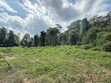 0 Lakeview Ave unit 11595410, Somerset, KY 42501 - photo 6