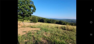 15106 Trace Branch Rd, West Fork, AR 72774 - photo 6