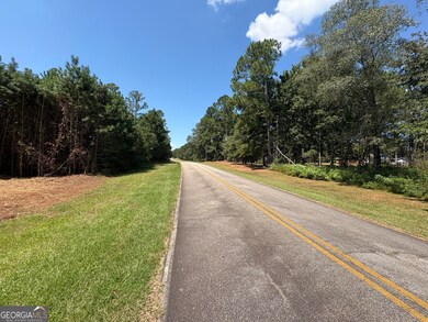 TRACTS 2-4 Old Rumble Rd, Forsyth, GA 31029 - photo 5