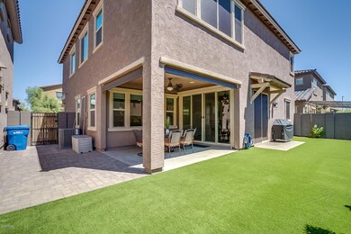 Backyard4