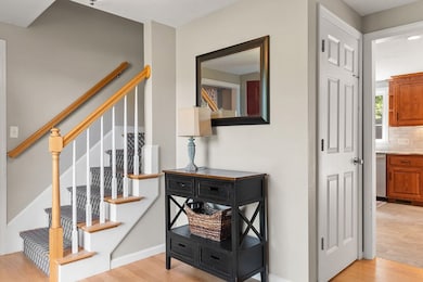 380 Chestnut St, Franklin, MA 02038 - photo 4