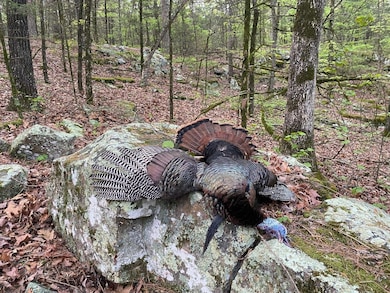 000 N Highway 41, Cecil, AR 72930 - photo 3