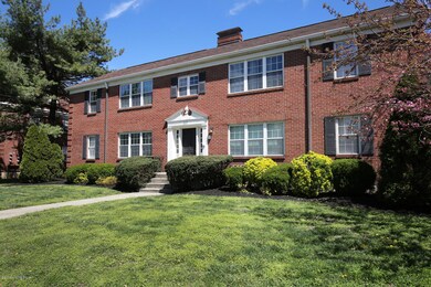 1117 Baxter Ave unit 4, Louisville, KY 40204 - photo 4