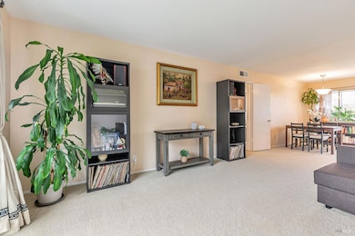 1064 Los Gamos Rd unit G, San Rafael, CA 94903 - photo 6