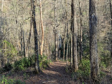 Path to the river