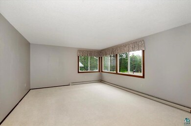 Carpeted empty room with a baseboard heating unit