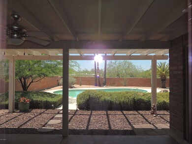 The view from the kitchen window