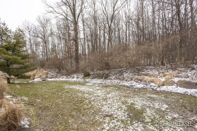 Rear Yard