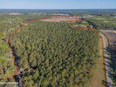 624 Blackwater Dr SW, Calabash, NC 28467 - photo 4