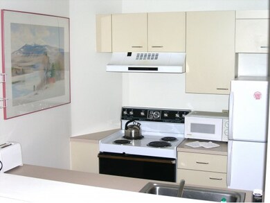 334 Packard's Rd unit 334, Waterville Valley, NH 03215 - photo 6