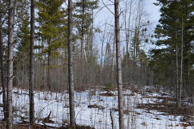 DSC_0068 (4)