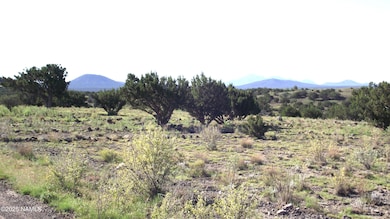 11139 Howard Mesa Loop, Williams, AZ 86046 - photo 4