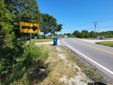439 State Highway Oo, Reeds Spring, MO 65737 - photo 2