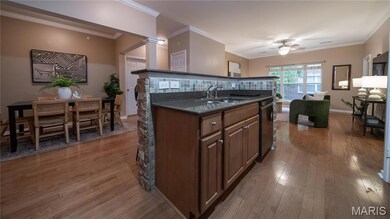 Kitchen featuring ornamental molding, dark stone counters, brown cabinets, tasteful backsplash, and dark wood-style floors